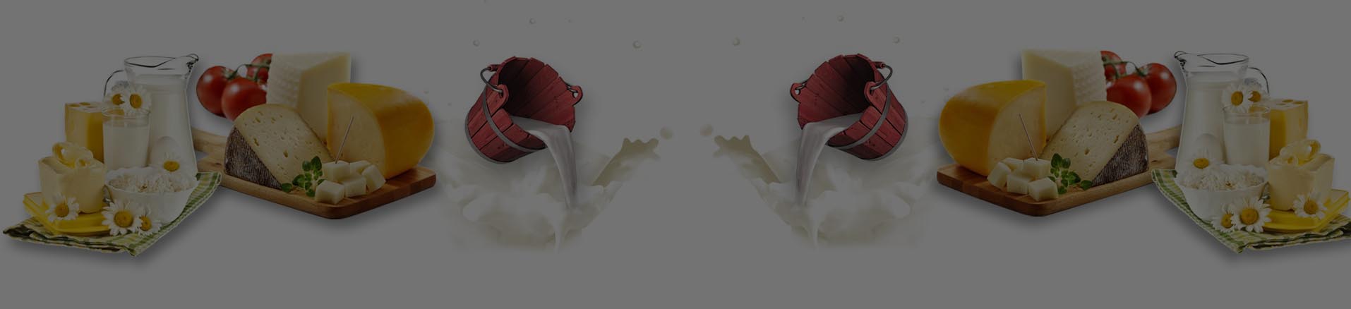 Şarküteri Barkod Sistemi